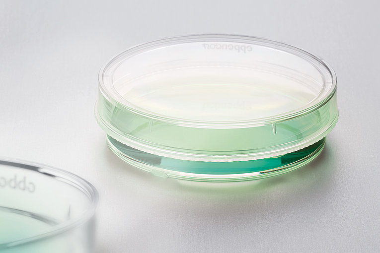 Company Website Eppendorf Corporate