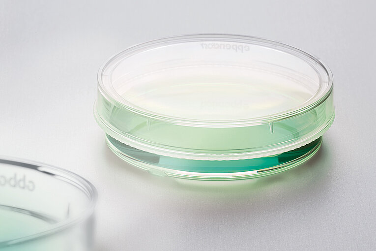 Company Website Eppendorf Corporate