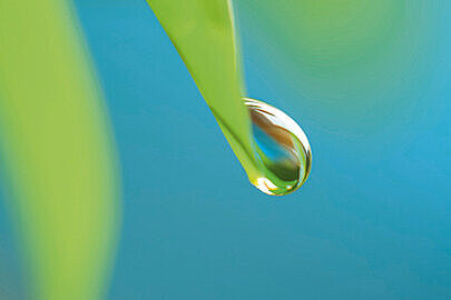 Ökologie & Ökonomie